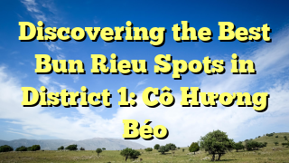 Discovering the Best Bun Rieu Spots in District 1: Cô Hương Béo