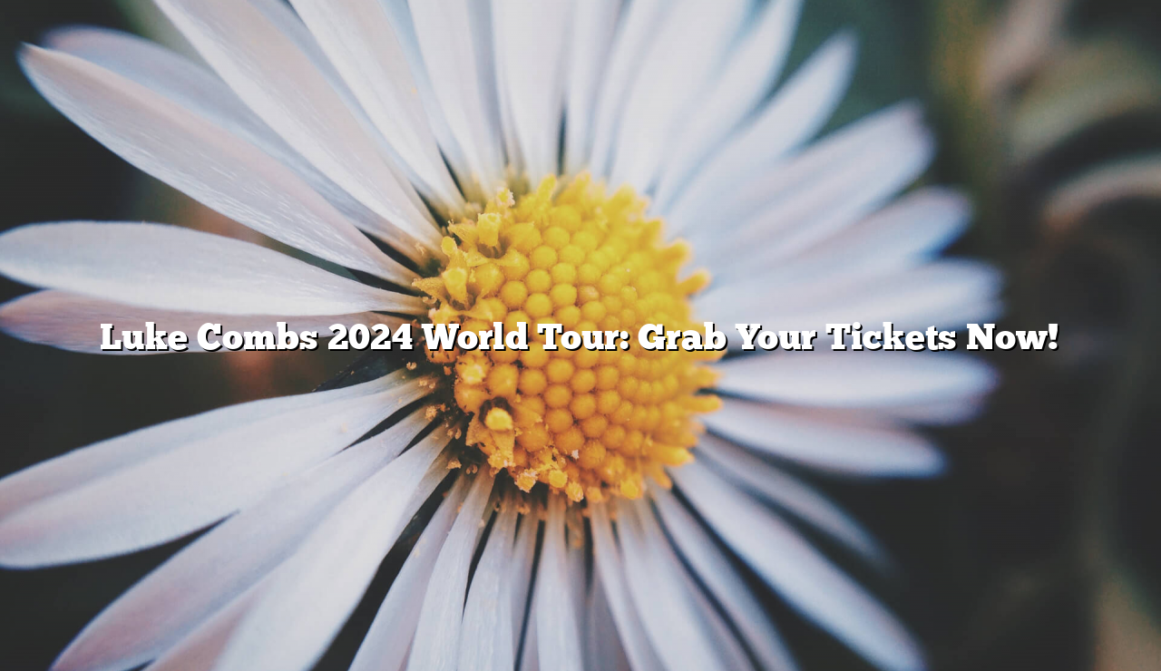 Luke Combs 2024 World Tour Grab Your Tickets Now! Unilever Edu