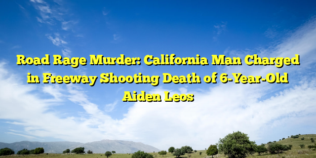 Road Rage Murder: California Man Charged in Freeway Shooting Death of 6-Year-Old Aiden Leos