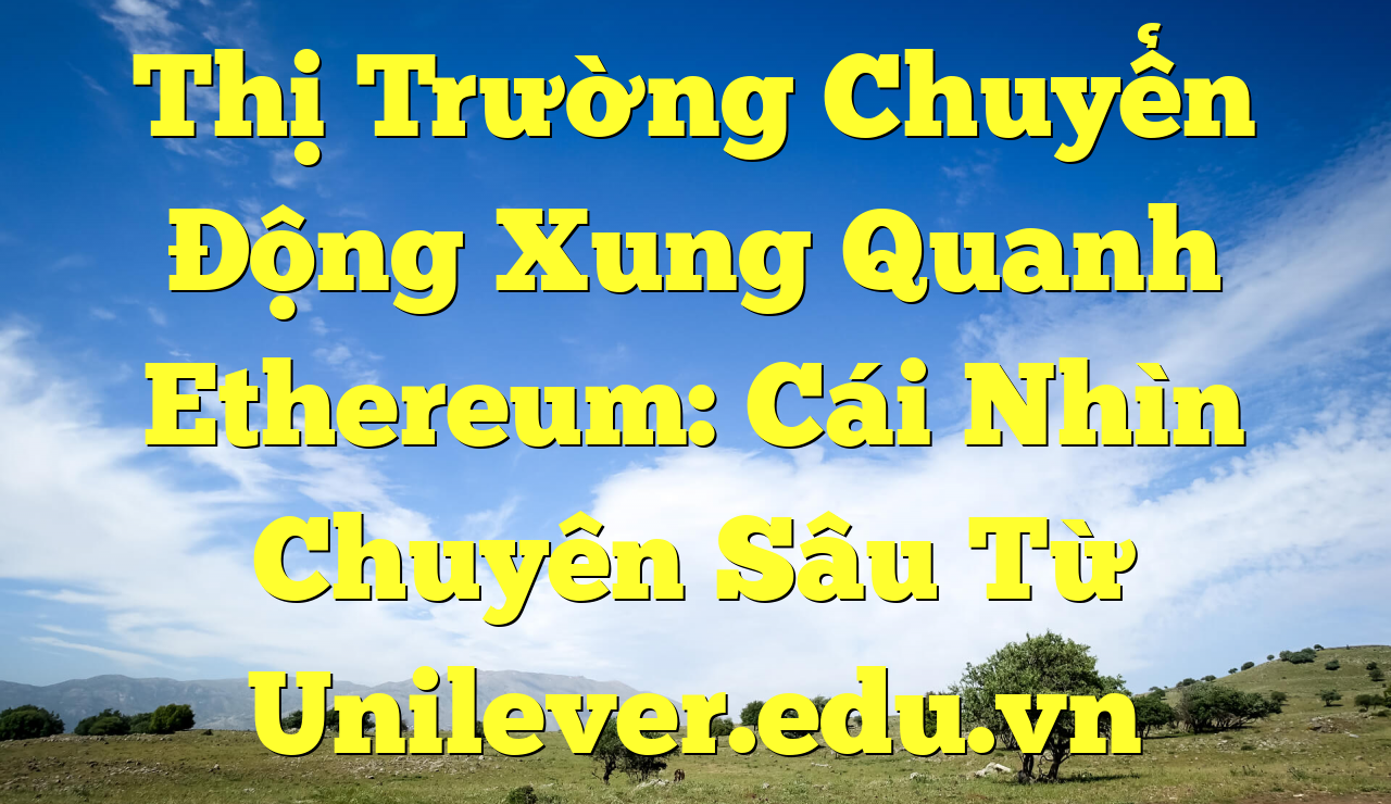 Thị Trường Chuyển Động Xung Quanh Ethereum: Cái Nhìn Chuyên Sâu Từ Unilever.edu.vn