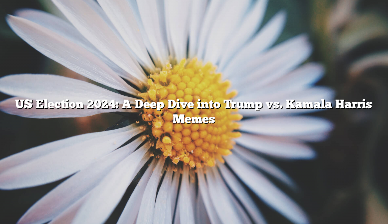 US Election 2024 A Deep Dive into Trump vs. Kamala Harris Memes