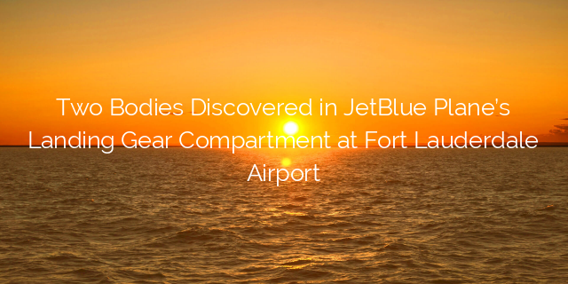 Two Bodies Discovered In Jetblue Plane's Landing Gear Compartment At 